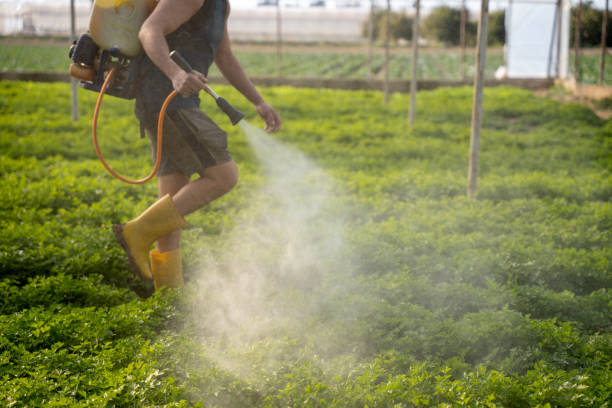 Best Insect Control  in Mcleansville, NC