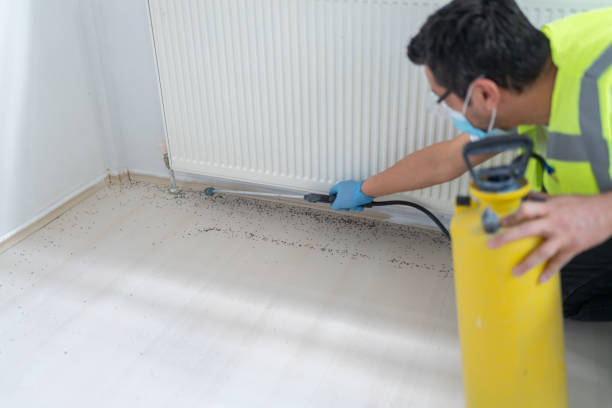 Pest Control Cost in Mcleansville, NC
