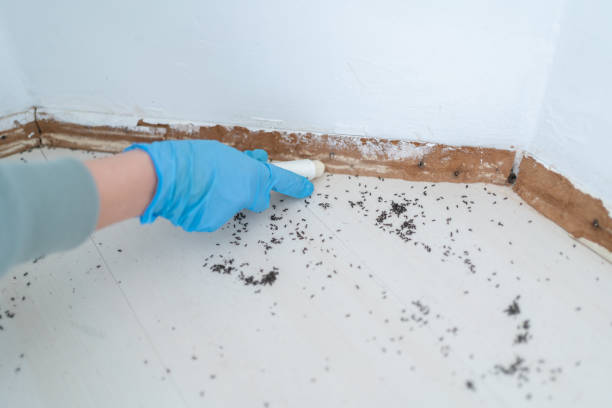 Mcleansville, NC Pest Control Company